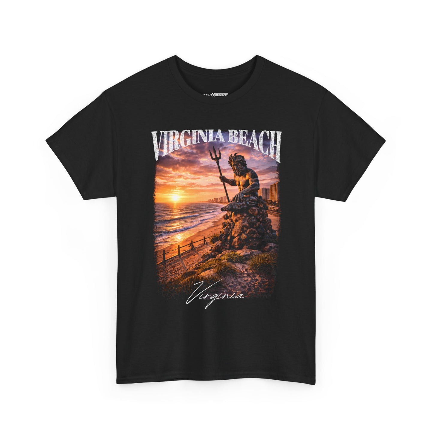 Virginia Beach Shirt